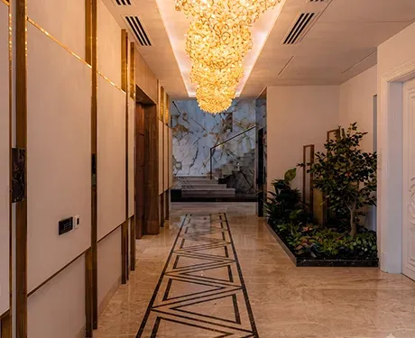 interior designers