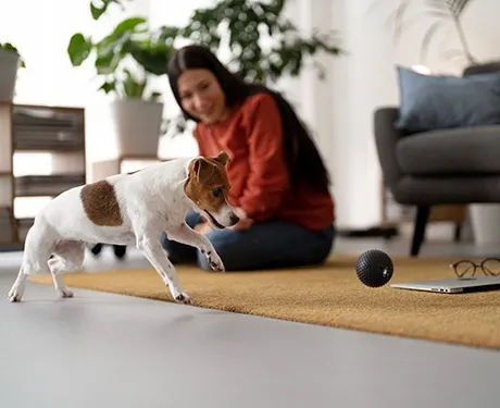 Pet-Friendly Luxury Design3