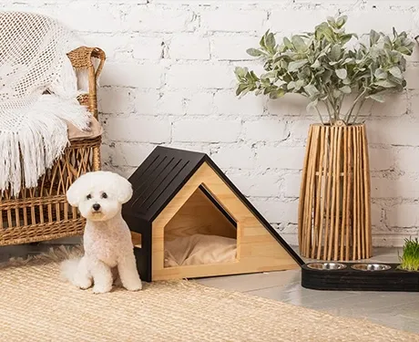 Pet-Friendly Luxury Design2